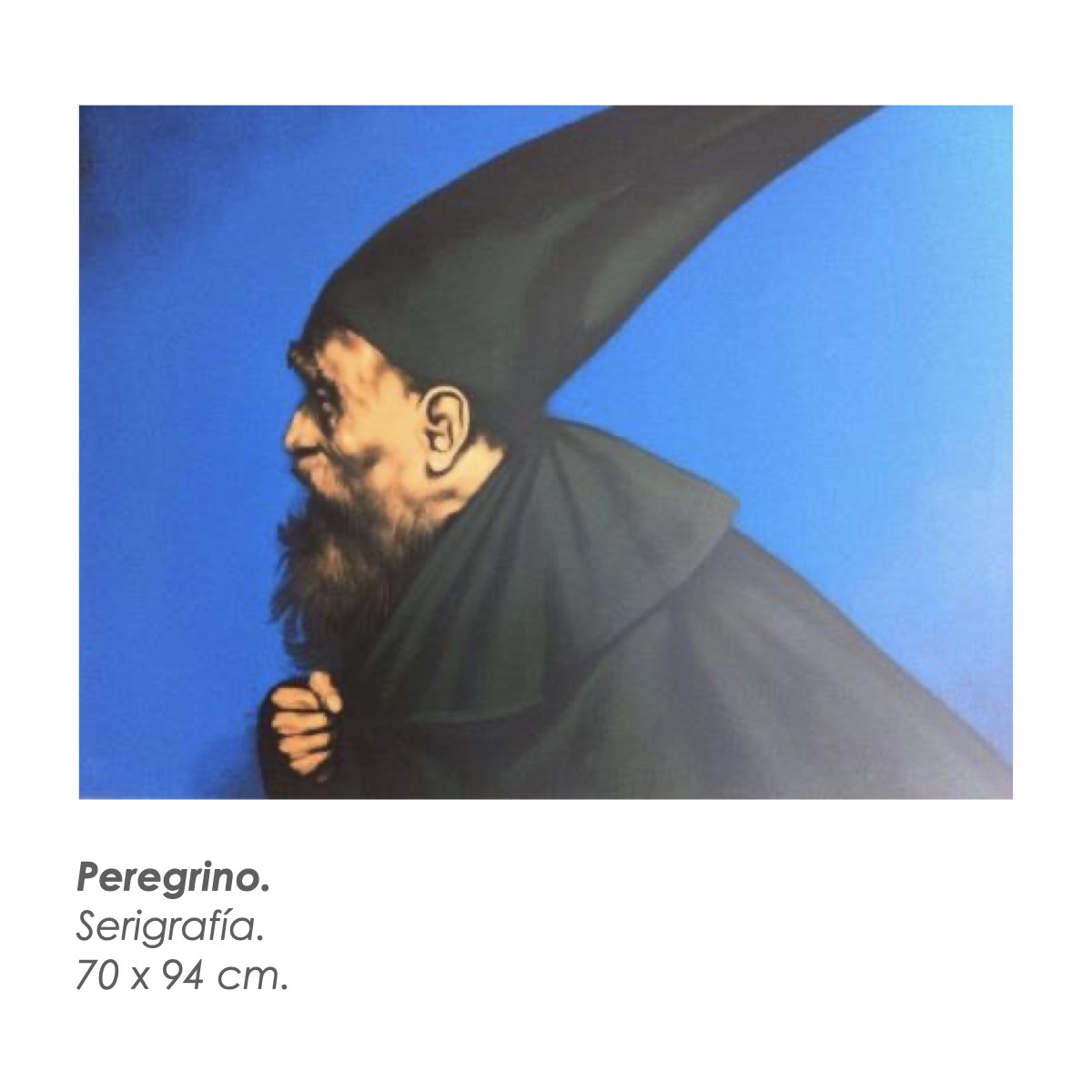 Ceballos Coronel Galería.050