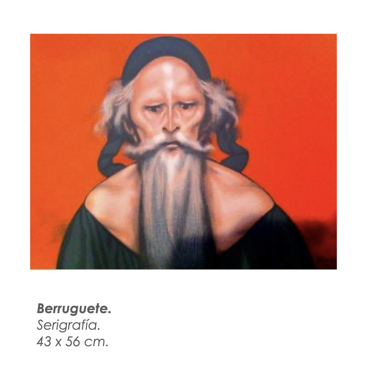 Ceballos Coronel Galería.052