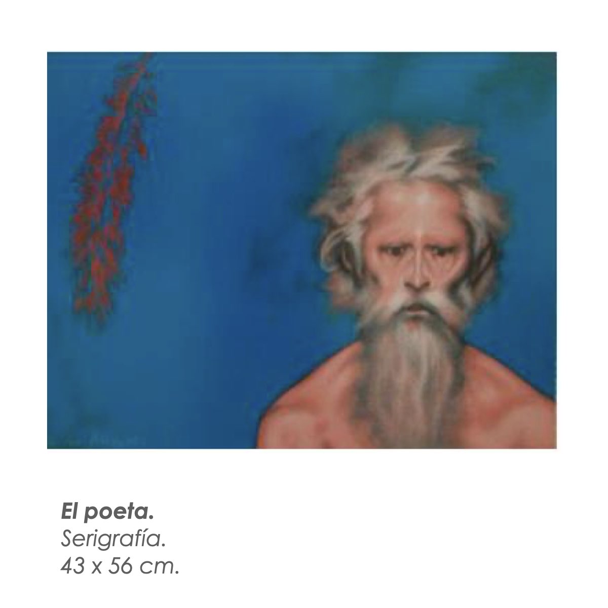 Ceballos Coronel Galería.053