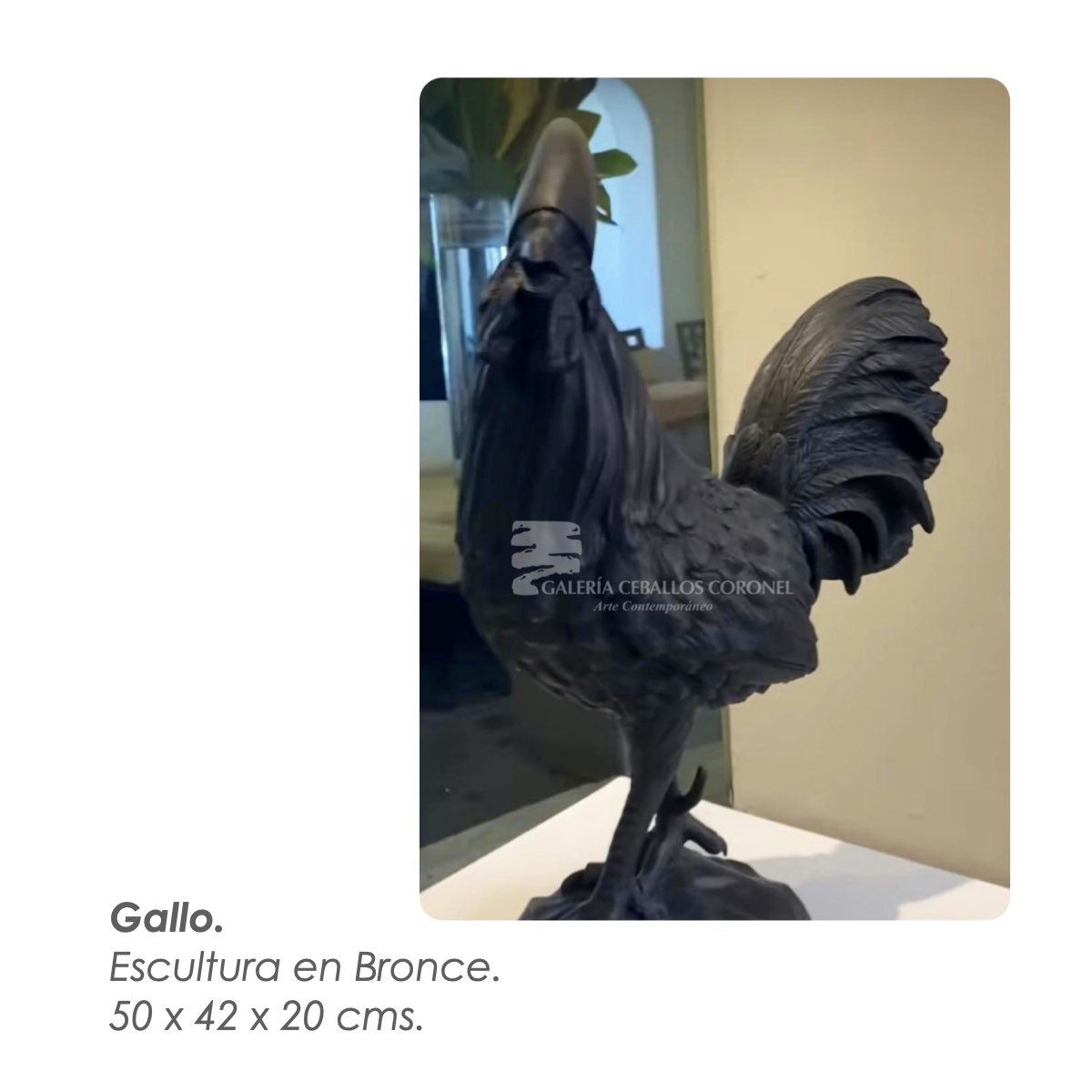 Rafael Coronel 3.002