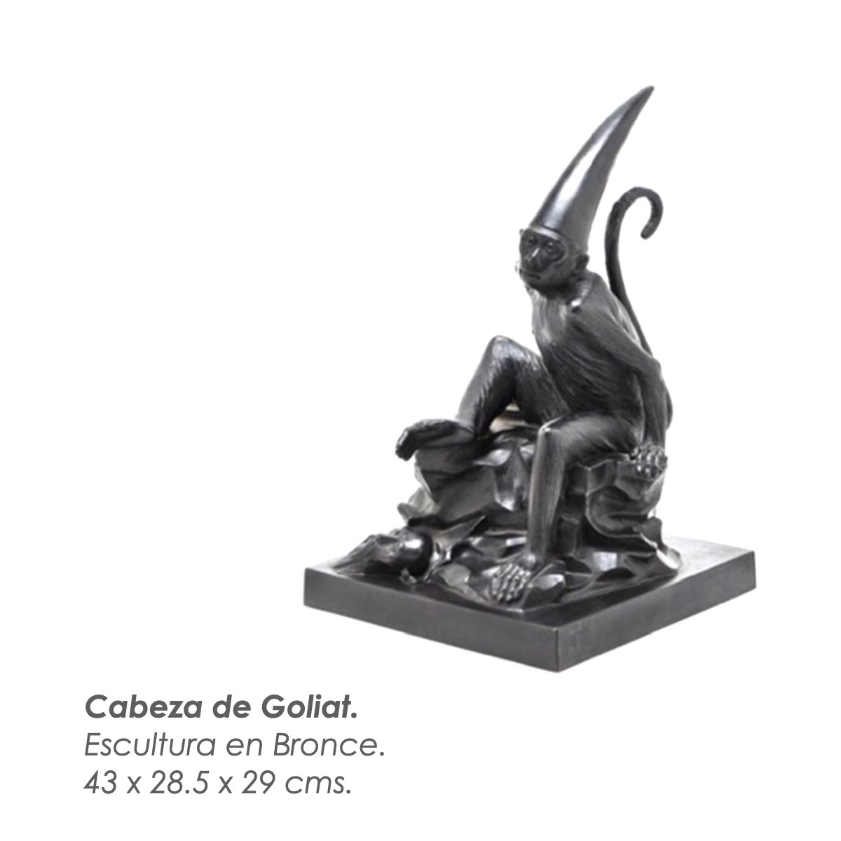 Rafael Coronel 3.004